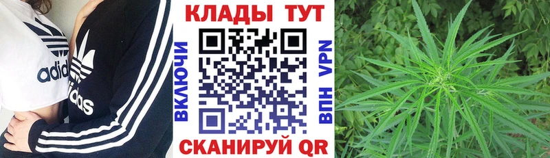 Наркота Тосно COCAIN МДМА Меф мяу мяу ГАШИШ МАРИХУАНА Псилоцибиновые грибы
