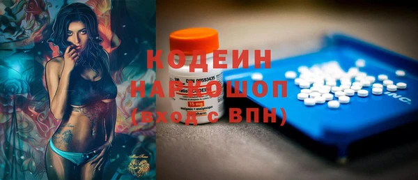гашик Алексин
