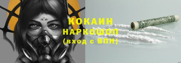 гашик Алексин