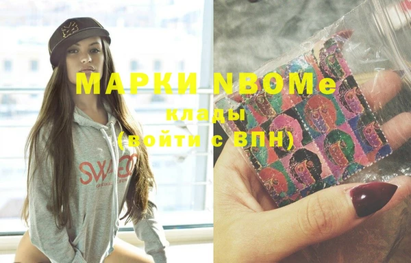 гашик Алексин