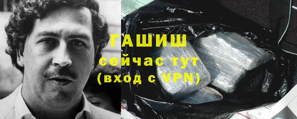 гашик Алексин