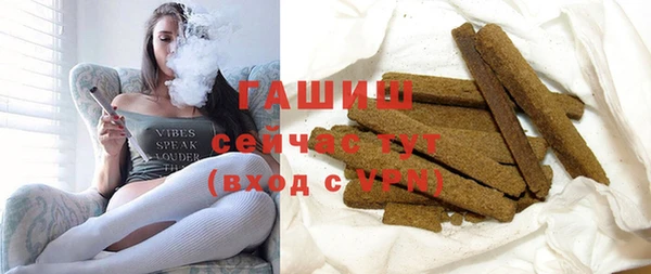 гашик Алексин