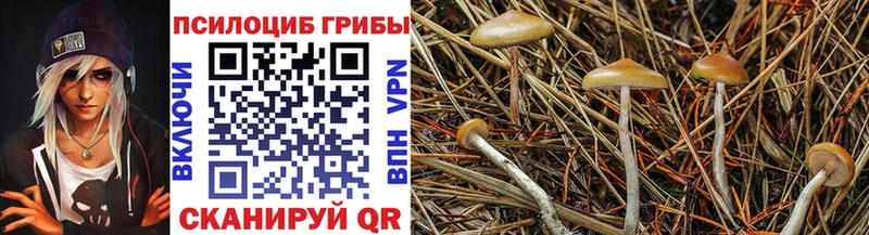 Галлюциногенные грибы мицелий  Тосно 