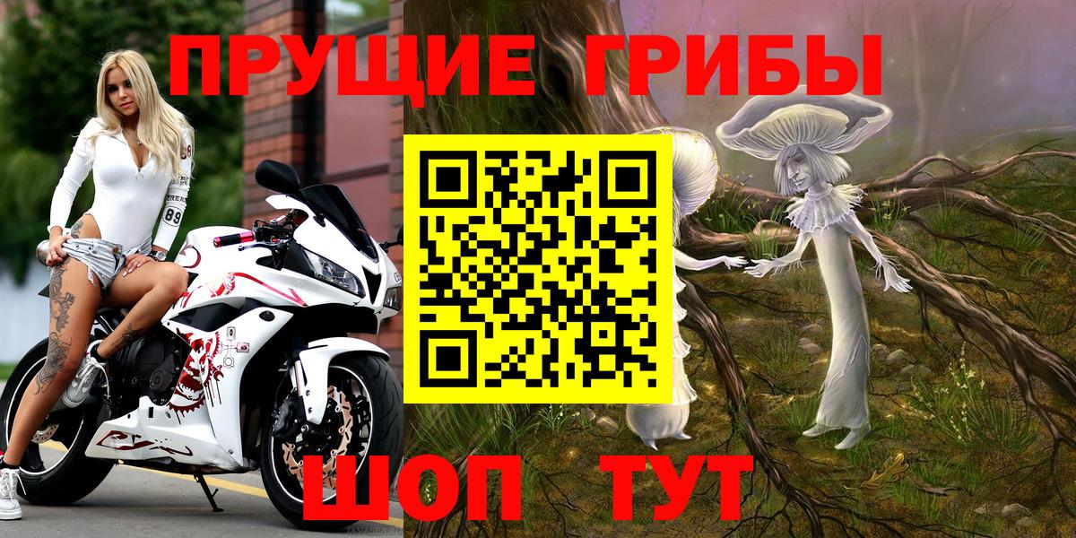 Псилоцибиновые грибы Psilocybe Тосно
