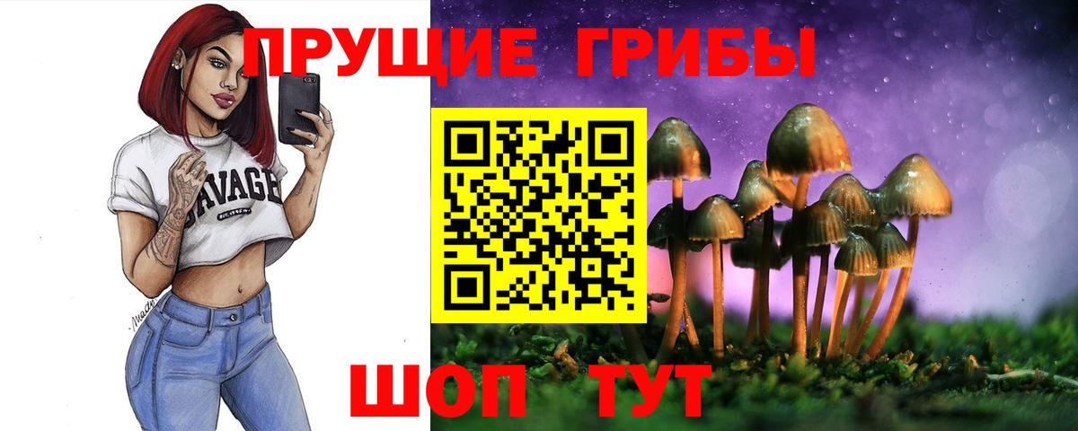 Галлюциногенные грибы MAGIC MUSHROOMS  Вход с VPN  Галлюциногенные грибы мицелий  Тосно 